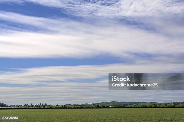 Crops Stock Photo - Download Image Now - Agriculture, Beauty In Nature, Climate