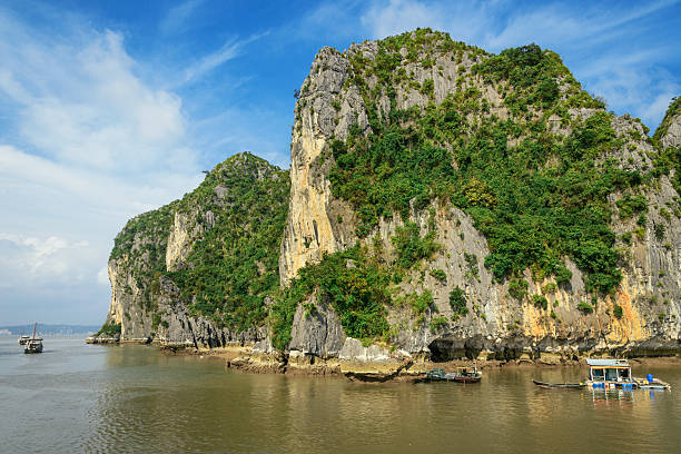 istock Limestone rocks in Halong Bay, Vietnam 523136569