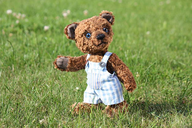 istock Smiling brown teddy bear in blue shorts 523137061