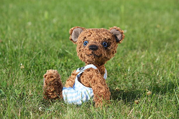 istock Smiling brown teddy bear in blue shorts 523137073
