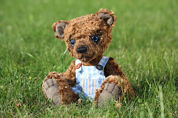 istock Smiling brown teddy bear in blue shorts 523137087