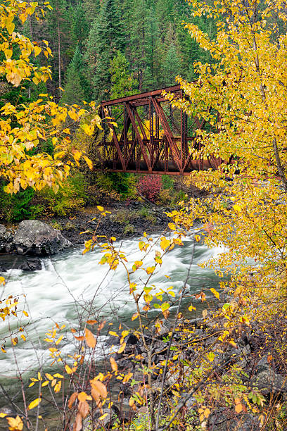 rzeka wenatchee i bridge. - vertical photography color image tumwater canyon zdjęcia i obrazy z banku zdjęć