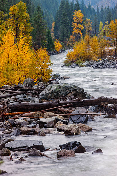 река уэнатчи осенью. - vertical photography color image tumwater canyon стоковые фото и изображения