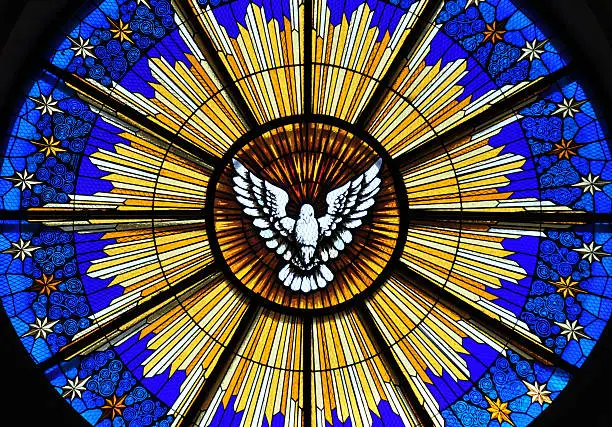 San Salvador, El-Salvador, Central America: Metropolitan Cathedral rose window - the Holy Spirit as a dove over rays of light - stained glass - Catedral Metropolitana del Divino Salvador del Mundo - photo by M.Torres