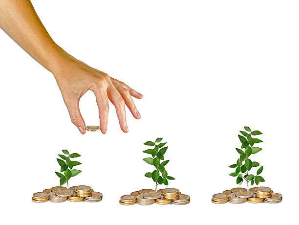 istock Progress of green business 523148477