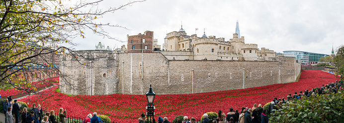 London, UK - November 8, 2014: Panoramic of art installation by Paul Cummins at Tower of London. The ceramic poppies were planted to mark the centenary of WWI's outbreak.