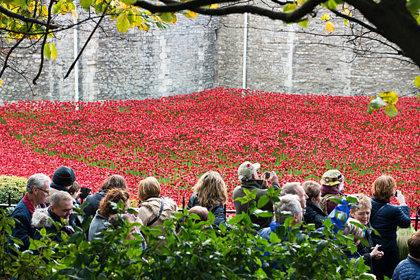 London, UK - November 8, 2014: Crowd admiring art installation by Paul Cummins at Tower of London. The ceramic poppies were planted to mark the centenary of WWI's outbreak.