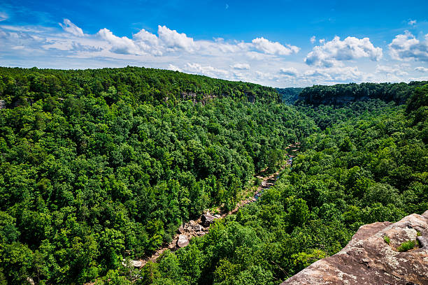 High view of Little River Canyon Federal Reserve stock photo