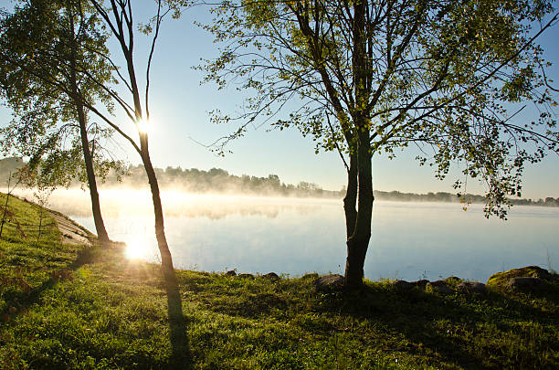 istock sunrise and morning mist on summer end lake 523152541