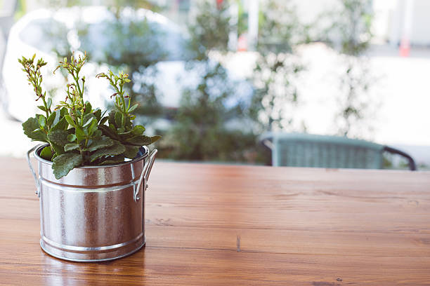 istock Green tree or plant in silver metal pots 523156742