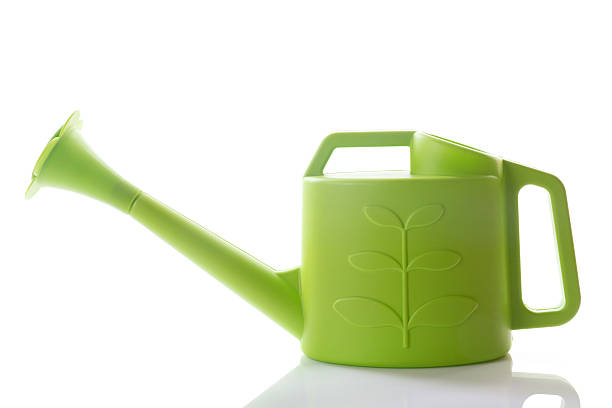 istock green watering can isolated on white 523157442