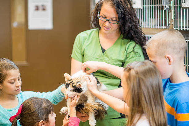 istock Volunteering at an Animal Shelter 523158022
