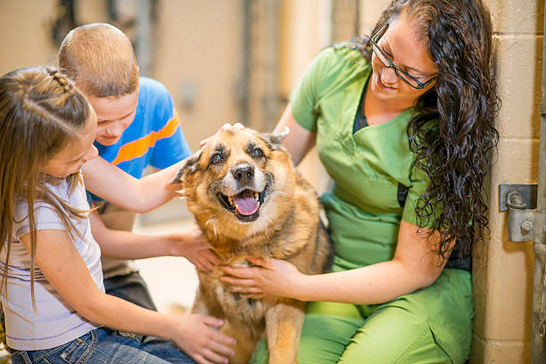 istock Petting a Dog at the Shelter 523158034