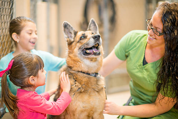 istock Picking up a Pet at the Animal Shelter 523158068