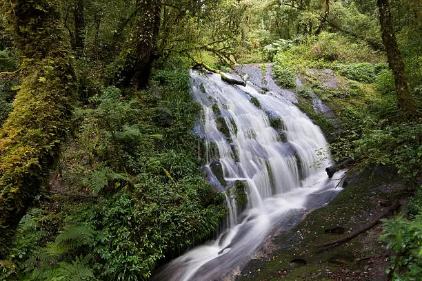 Kew Mae Pan, Waterfall in hill evergreen forest of Doi Inthanon national park, Thailand.