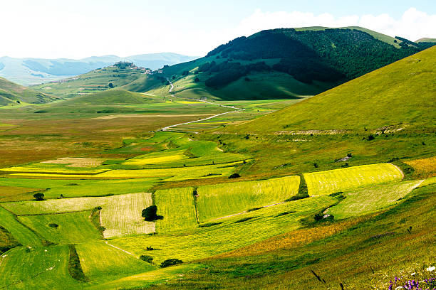 istock Piano Grande di Castelluccio (Italy) 523162129