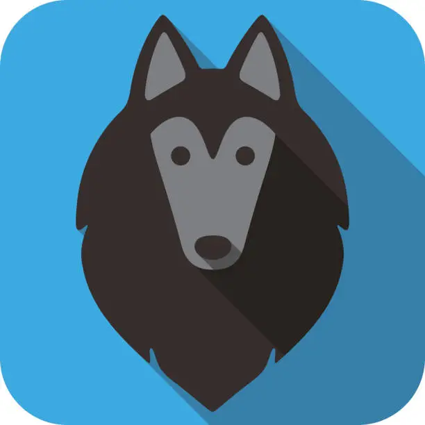 Vector illustration of Tervuren dog face flat icon, dog series