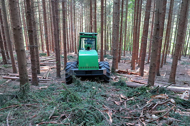 istock Timber harvester in the forest 523166258