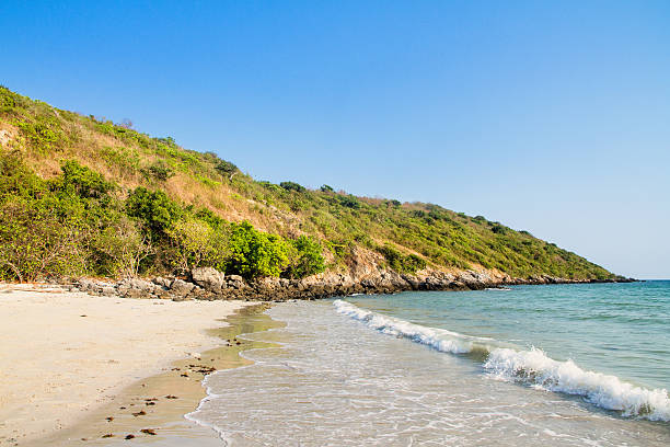 istock Landscape Sea coastline in summer day 523168268