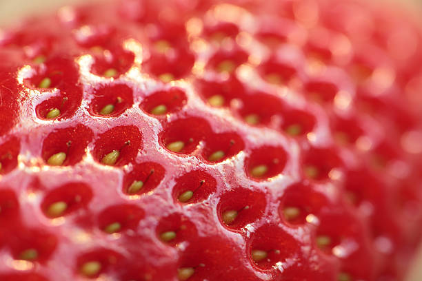 istock Macro Photography of strawberries 523169450
