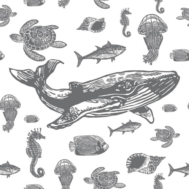 illustrations, cliparts, dessins animés et icônes de la mer animaux vector noir et blanc motif sans couture. - jellyfish sea green underwater