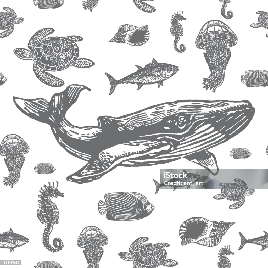 Sea Animals Black And White Seamless Vector Pattern Stock Illustration -  Download Image Now - iStock