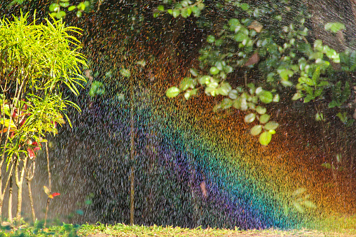 Blurred background: Bright rainbow in drops of flowing water during the sprinkling with green grass background at sunny day.