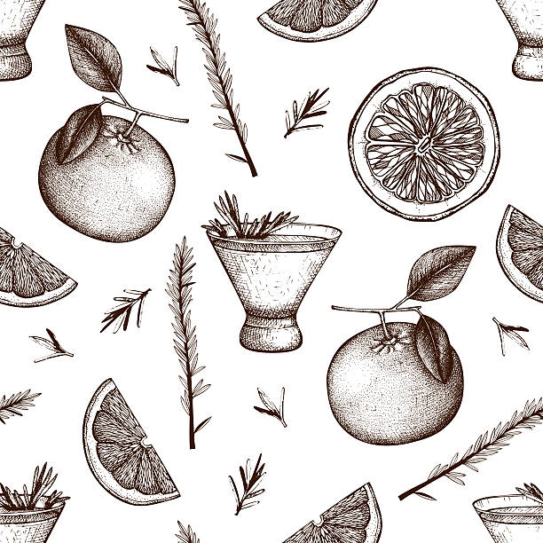 Ink hand drawn rosemary fizz background Vector seamless pattern with vintage alcoholic cocktails sketch. Ink hand drawn rosemary fizz background for bar or restaurant menu grapefruit stock illustrations