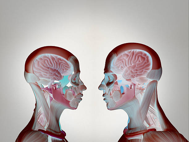 istock Anatomy couple, facing each other, sharing ideas, thoughts, love. 523176802