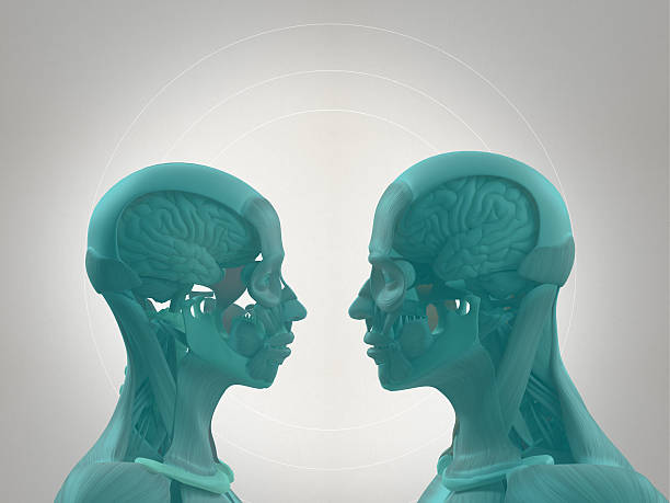 istock Anatomy couple, facing each other, sharing ideas, thoughts, love. 523176986