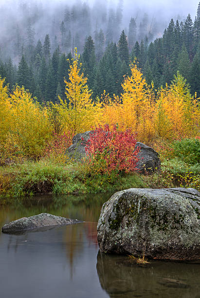 большой камень в спокойные воды в течение осени. - vertical photography color image tumwater canyon стоковые фото и изображения