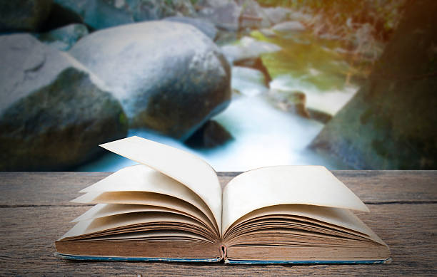 istock Open book on wooden background 523179960