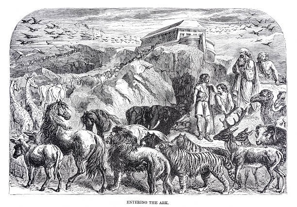 noah ark grabado - ark bible animal engraving fotografías e imágenes de stock