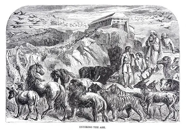 Animals entering Noah's Ark - Antique Engraving