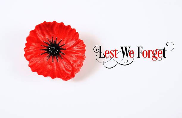 istock Lest We Forget Red Poppy Lapel Pin Badge 523180369
