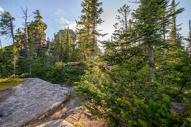 istock big rocks and green trees 523180646