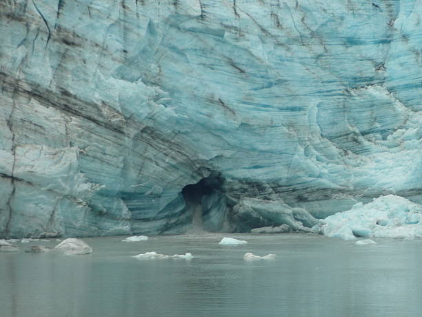 reid glaciar focinho no parque nacional da baía de glacier alaska usa - drumlin imagens e fotografias de stock
