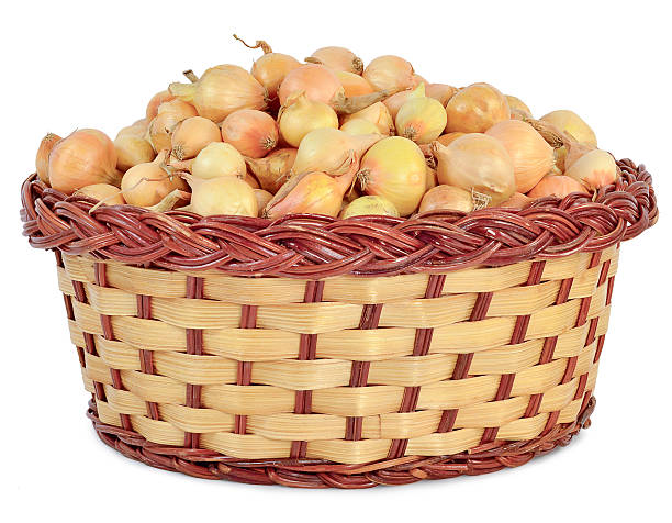 istock tuber onion in a wicker basket 523183564