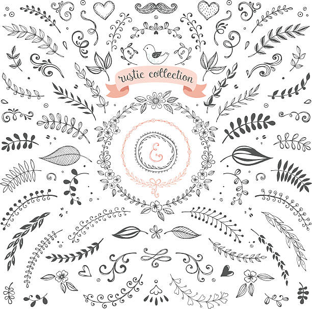 illustrations, cliparts, dessins animés et icônes de conception rustique collection - wedding flower decor invitation
