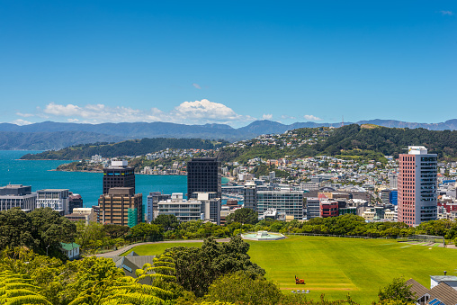 Wellington City panorama, with Cricket Field in the foreground, from the top of the Cable Car towards Mt. Victoria, North Island New Zealand.