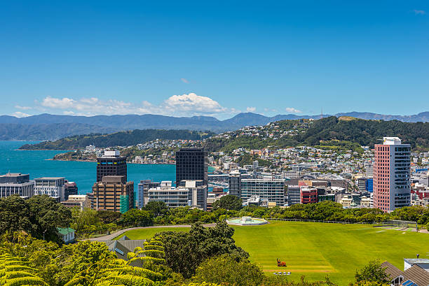 wellington skyline - wellington new zealand zdjęcia i obrazy z banku zdjęć