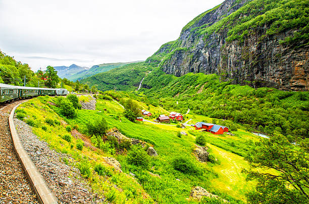 wieś w flam. norwegia - flam zdjęcia i obrazy z banku zdjęć