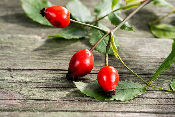 istock Dog roses on wooden background, selective focus 523185172