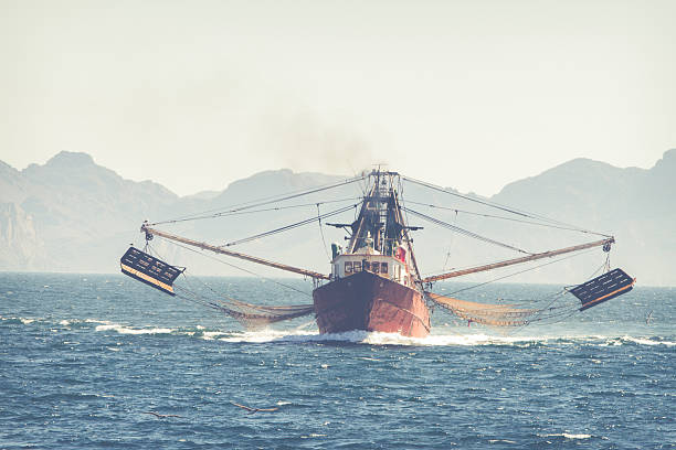 Fishing boat in blue sea and clear sky with birds flying overhead. Calm blue sea with the silhouette of a ship on the horizon