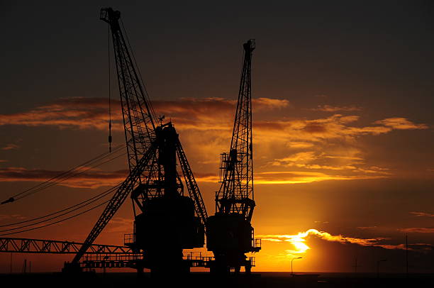 istock Cranes at sunset, Jersey, U.K. 523202593