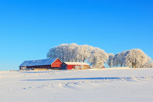 Farm on a hill in a wintry landscape