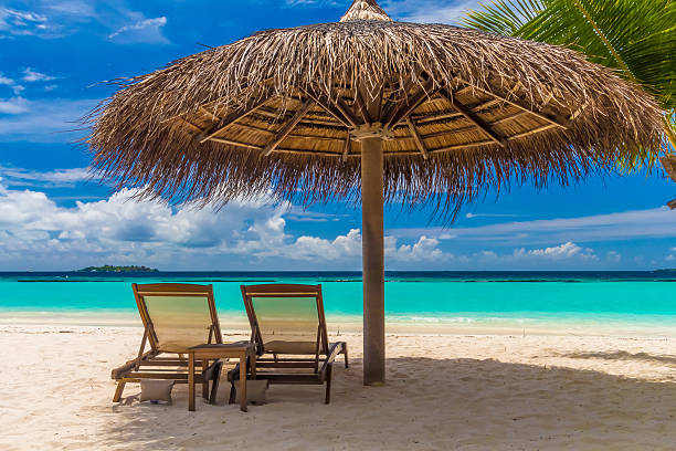 istock Dreamy beach with sun loungers 523211925