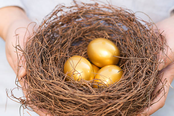 istock hands out golden eggs and  nest 523214009