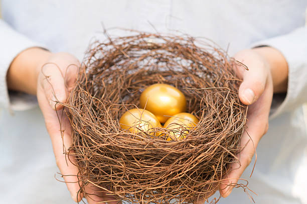 istock hands out golden eggs and  nest 523214015