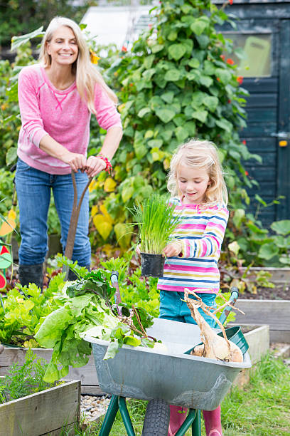 jeune jardinier - gardening vegetable garden action planting photos et images de collection